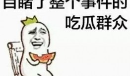 网红蛙吃瓜群众,网络红人的崛起与影响
