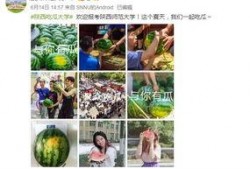 最新吃瓜爆料学院,最新热门事件幕后真相大曝光