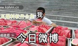 视频爆料去哪爆料最快,揭秘爆料最快途径